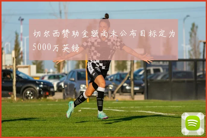 切尔西赞助金额尚未公布目标定为5000万英镑